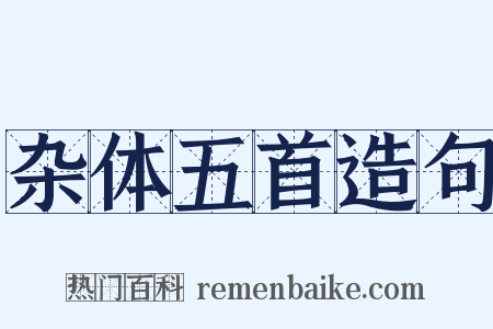 杂体五首造句是什么意思的图片